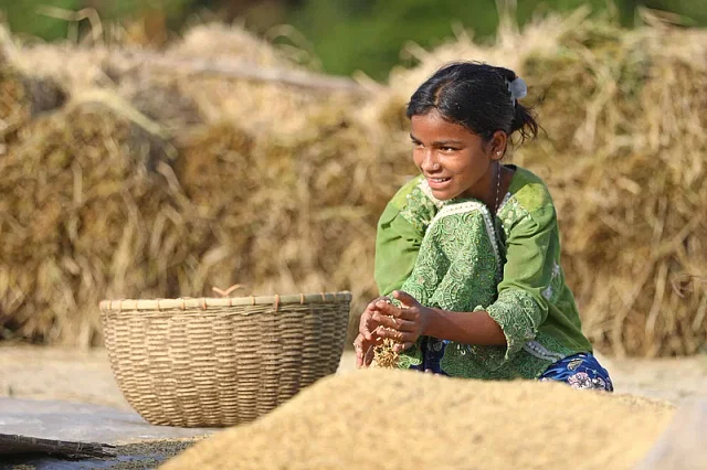 Rice production to go up, but little hope for price to go down